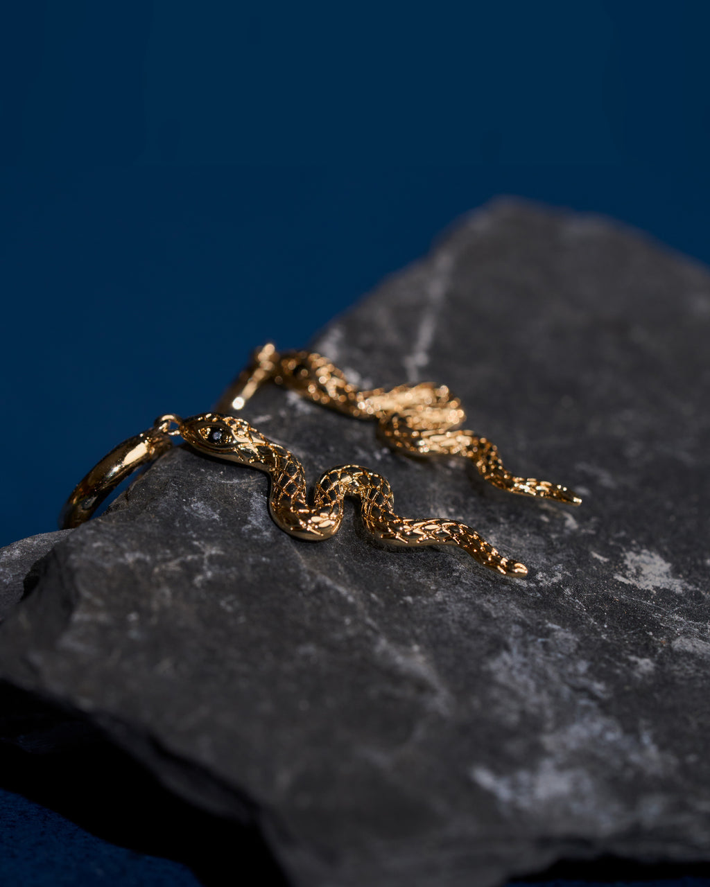 Serpent Eye Earrings