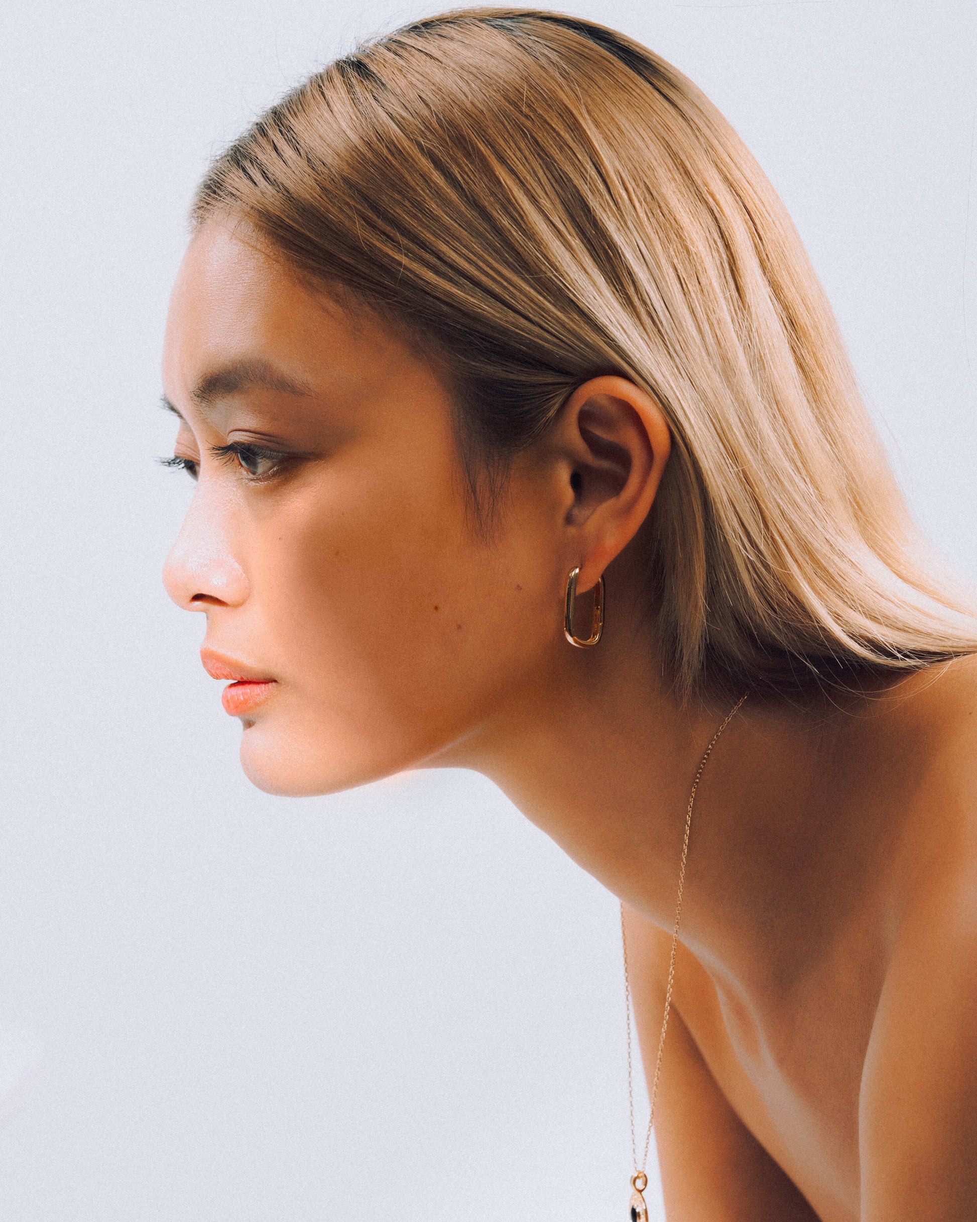 Frame Hoop Earrings